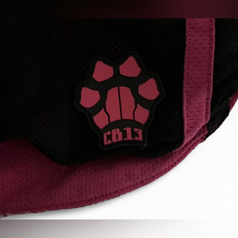 CellBlock13 Pink Black Mesh Drawstring Shorts Men’s Size M Paw Logo - Picture 3 of 4